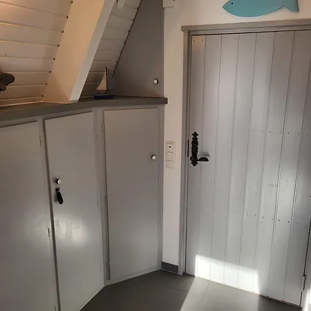 Nurdachhaus Zeltdachhaus Damp