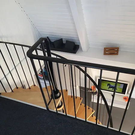 Nurdachhaus Zeltdachhaus Damp